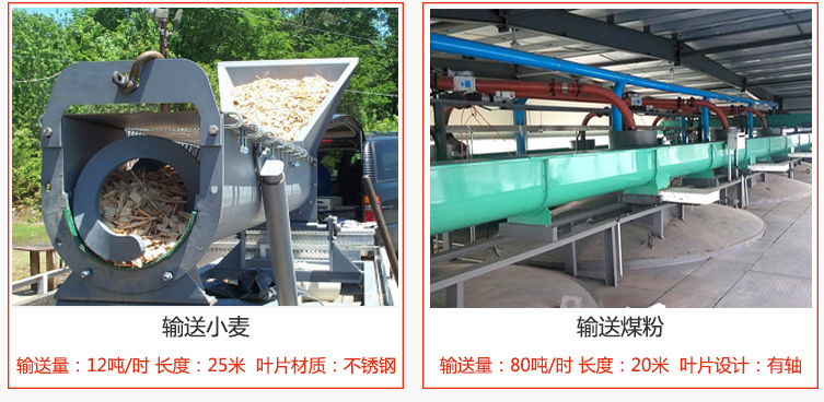 絞龍螺旋輸送機(jī)輸送小麥輸送量在12噸/時(shí)，長度為25米，葉片采用不銹鋼材質(zhì)；輸送水泥輸送量在80噸/時(shí)，長度為20米，葉片設(shè)計(jì)為有軸。